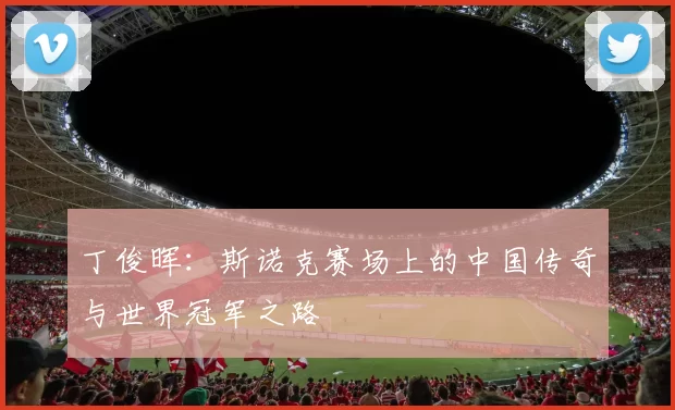 丁俊晖：斯诺克赛场上的中国传奇与世界冠军之路