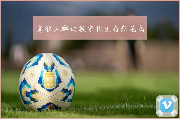 高敏人群的数字化生存新范式