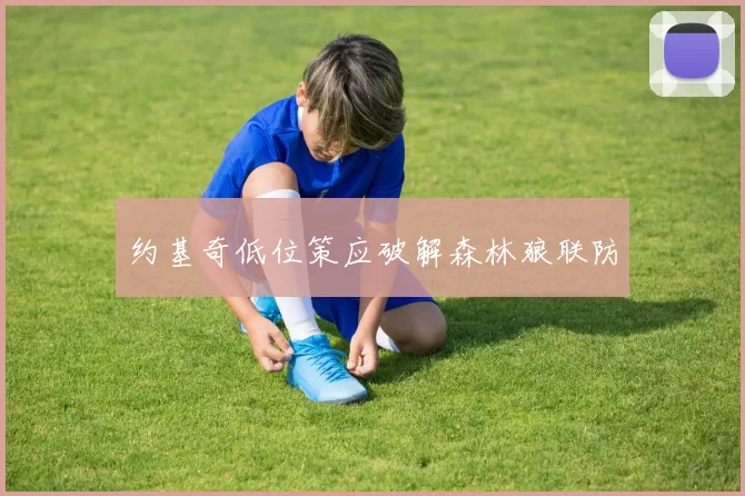 约基奇低位策应破解森林狼联防