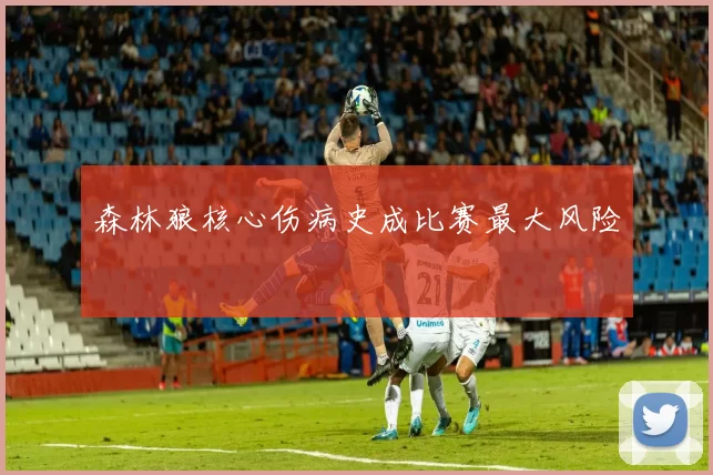 森林狼核心伤病史成比赛最大风险