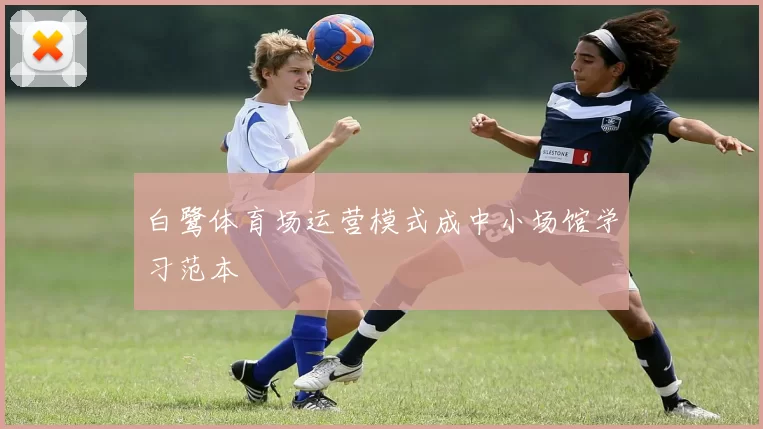 白鹭体育场运营模式成中小场馆学习范本
