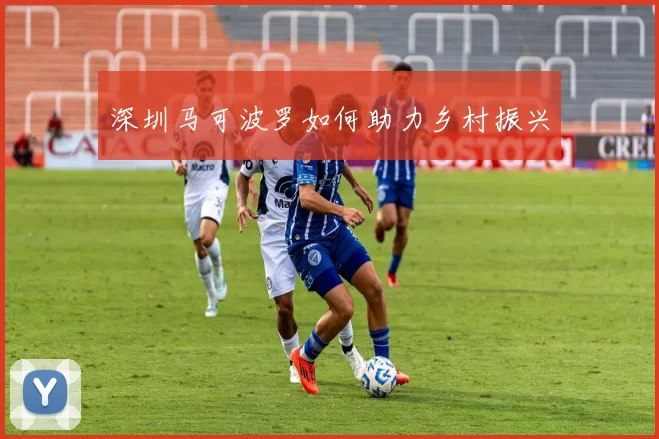 深圳马可波罗如何助力乡村振兴