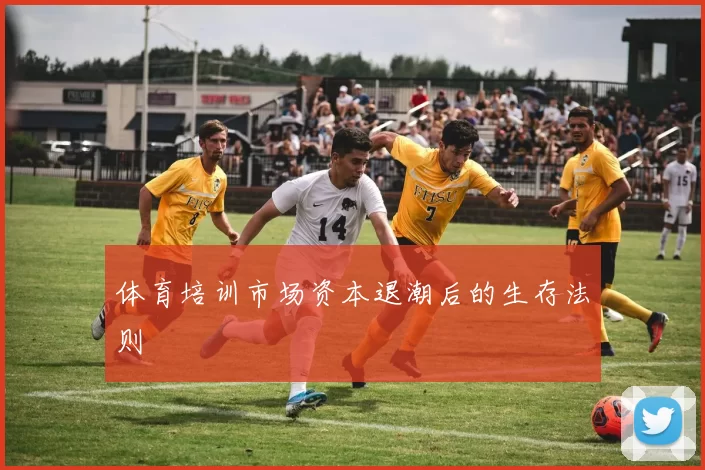 体育培训市场资本退潮后的生存法则