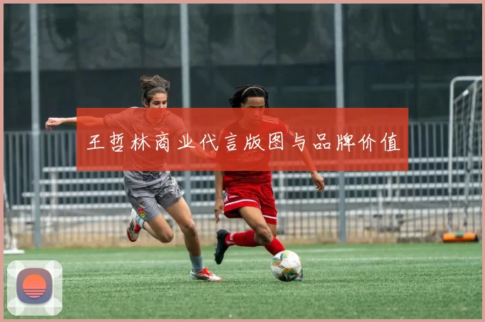王哲林商业代言版图与品牌价值